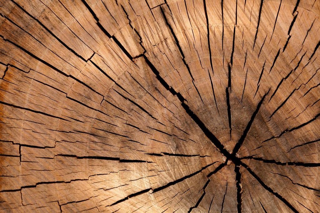 Detectie van houtrot: Zichtbare tekenen van beschadigd hout met verkleuring en verrotting bij restauratiewerkzaamheden