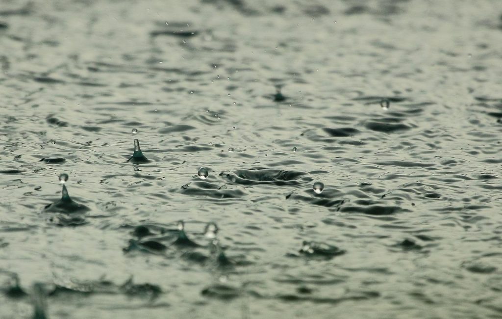 Buienradar Haarlem interface met live radar-weergave en neerslag informatie voor nauwkeurige weervoorspellingen
